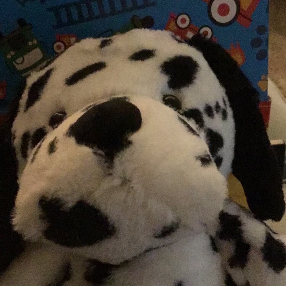 Scents buddy